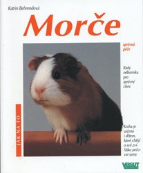 Morče