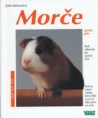 Morče